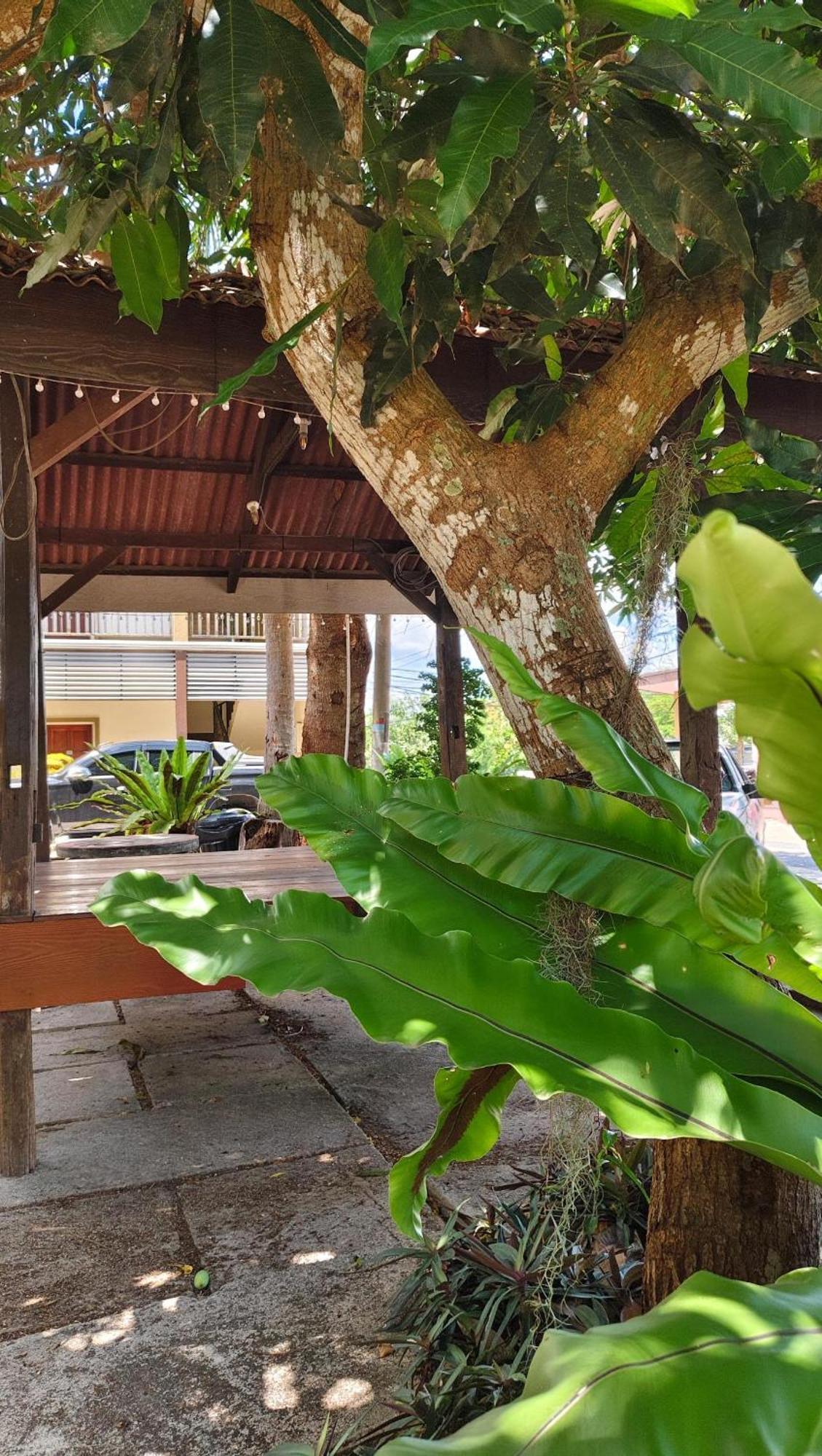 Casa Idaman Motel Pantai Cenang  Bagian luar foto